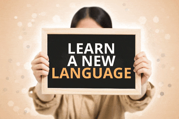 Learn Moroccan Arabic Darija in Fes