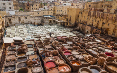 Fes Leather Tanneries: Complete Visitor Guide to Chouara Tanneries